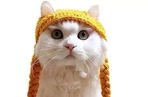 A woman bought a hat for a cat and uploaded a buyer's show, but was politely rejected by the seller. It's too true.