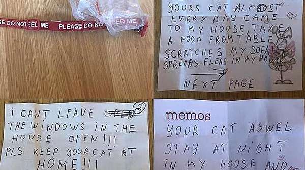 Your cat goes out for a walk, bring back a warning letter and take care of your cat