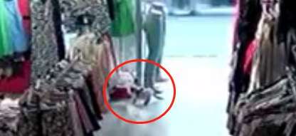 Kitten went to a clothing store to lurk for several months just to steal a pair of pants...