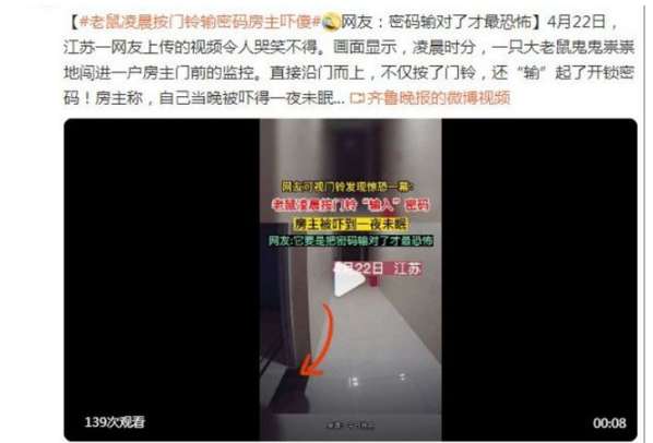 A mouse rings the doorbell in the early morning and enters the password. The homeowner is frightened. Netizens are most horrified when they enter the correct password!