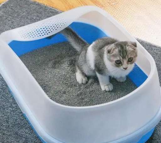 4 ways for cats to use cat litter normally, cats with cats Slave, come and take a look
