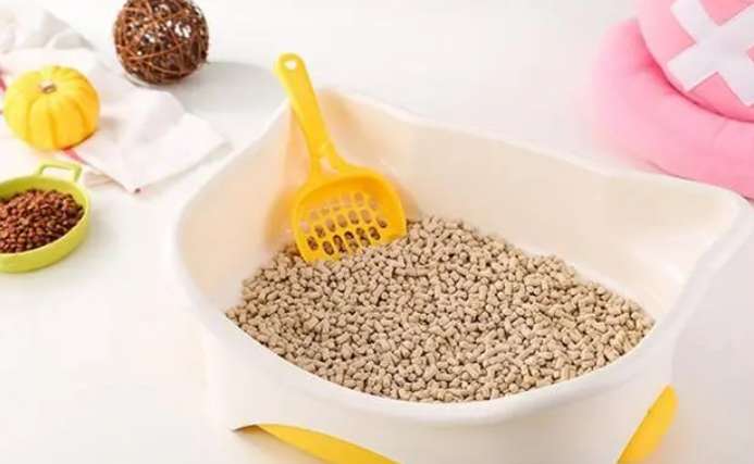 What is cat litter and what should you pay attention to when buying cat litter?