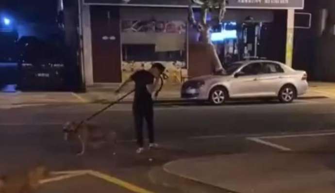 cruel! A man in Zhejiang trained a pit bull to bite a pregnant female cat to death. He was stopped by passers-by and then sped away.