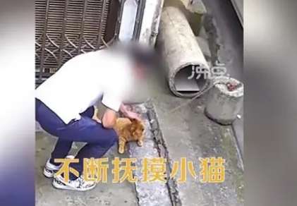 Man cuts off guard cat's tail with a knife. Netizen: Is this something a human does?