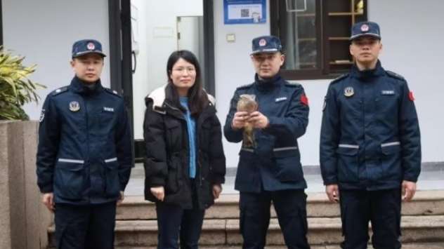Fuzhou Coast Guard rescues Gray-faced Buzzard Eagle, a second-level national key protected animal