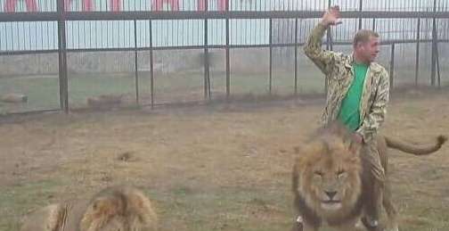 Russian tour guide teaches male tourist to ride a lion. The man surrenders after seeing the lion